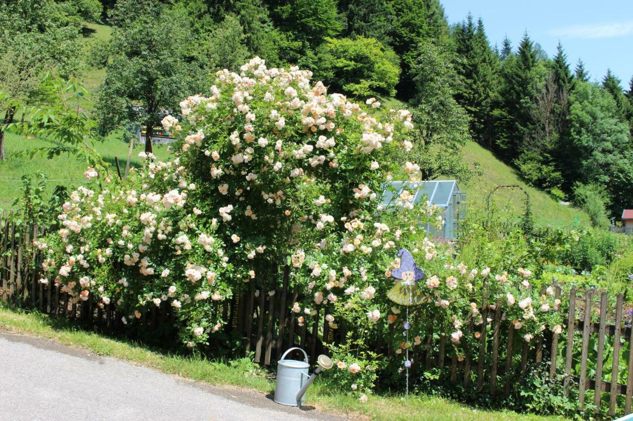 Urlaub Mitten Im Wald - Lueg Scheibbs Exterior photo